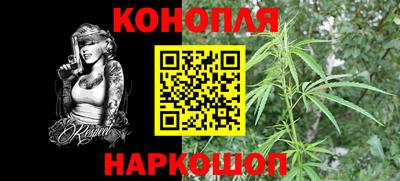 стафф Гудермес