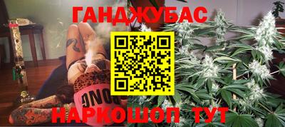 стафф Гудермес