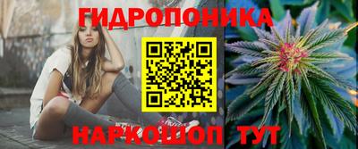 стафф Гудермес