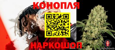стафф Гудермес